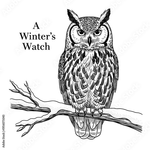 Majestic Owl Perched on a Snowy Winter Branch in Elegant Black and White Line Art