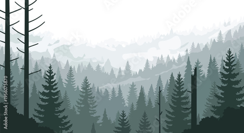 Misty coniferous forest landscape vector illustration with layered evergreen trees and natural woodland depth