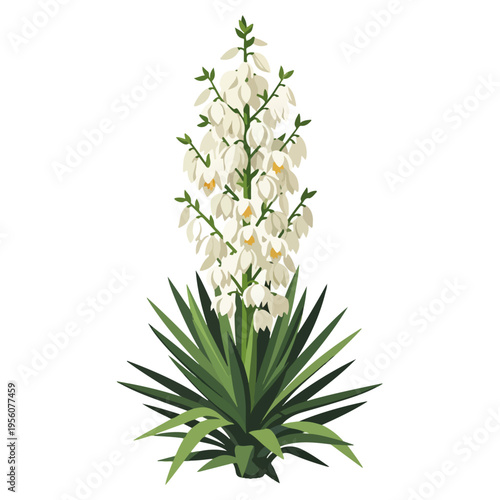 White Yucca Flower Flat Vector Illustration