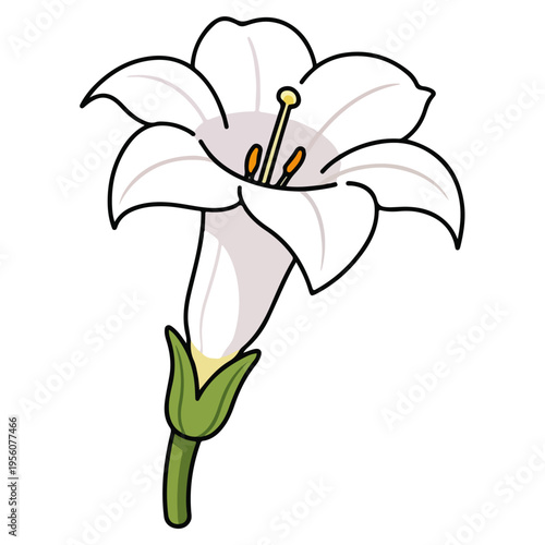 White Single Lily Flower Cartoon Vector Illustration