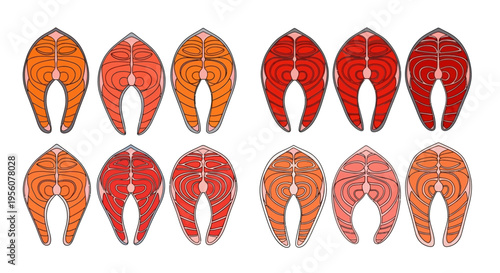 Illustration of salmon fillets displaying varying degrees of doneness