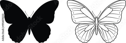 Butterfly duo black and white illustration Vector