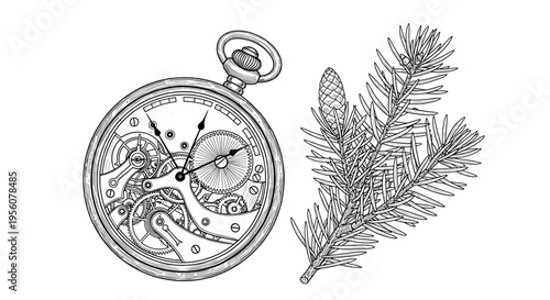 Detailed Line Art Illustration of an Open Pocket Watch and a Natural Pine Branch