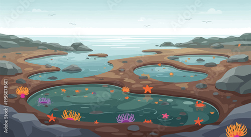 Vibrant cartoon tide pool ecosystem featuring diverse marine life nestled among rugged coastal rocks and sparkling ocean waters under a clear,
