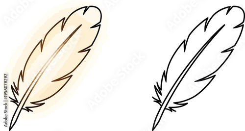 Vibrant feathers illustration Vector