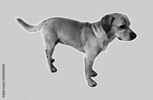 Dog in full growth collage, paper cutout, friendly puppy. Contemporary art scrapbook. Sticker  pet on torn paper from an old magazine. Halftone dots style, vector illustration.
