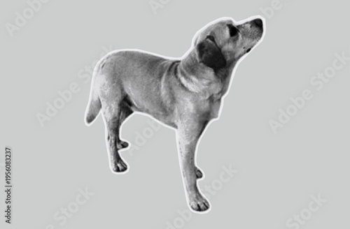 The dog looks up collage. Paper cutout, friendly puppy. Contemporary art scrapbook. Sticker  pet on torn paper from an old magazine. Halftone dots style, vector illustration.