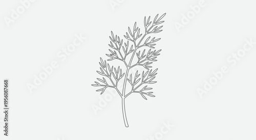 Detailed drawing of a plant stem.