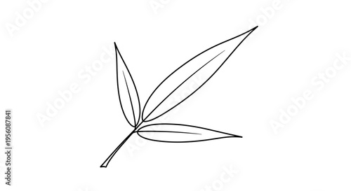 Detailed drawing of a single leaf.