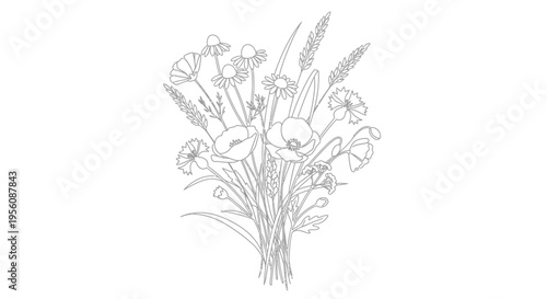 Bouquet of wildflowers and grasses drawing.