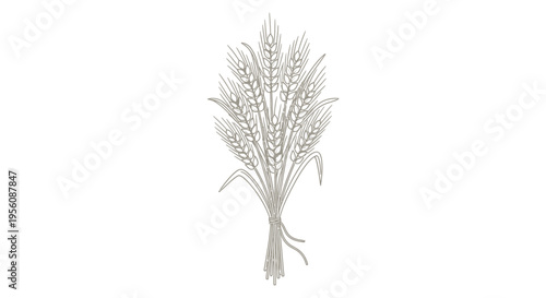 Bunch of fresh green wheat grains.