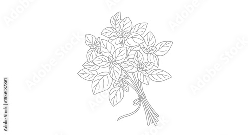 Detailed illustration of rosemary herb bunch.