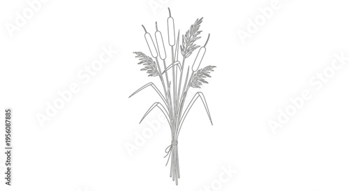 Wheat plant with green leaves growing.
