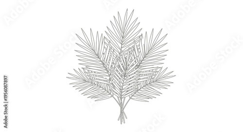 Detailed illustration of a pine branch.