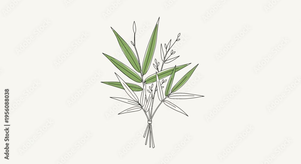 Fototapeta premium Bunch of green bamboo leaves plant.