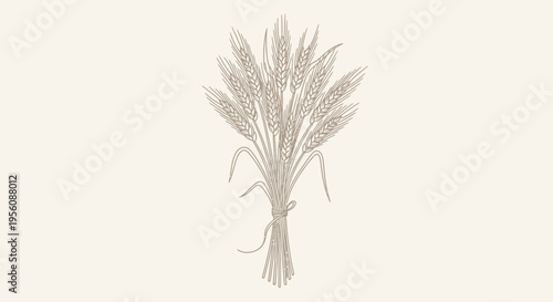 Bouquet of dry wheat ears.