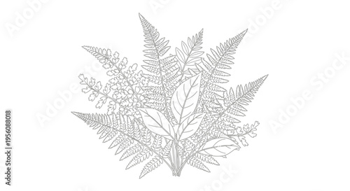 Detailed illustration of fern leaves.