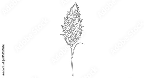Detailed illustration of a single wheat.