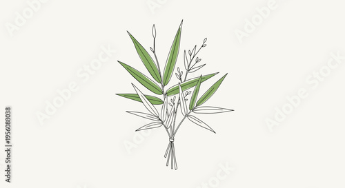 Bunch of green bamboo leaves plant.