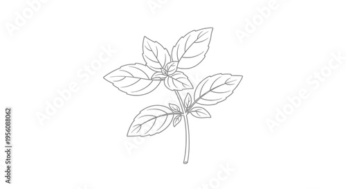 Detailed illustration of green plant leaves.