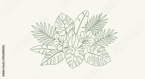 Detailed illustration of various tropical leaves.