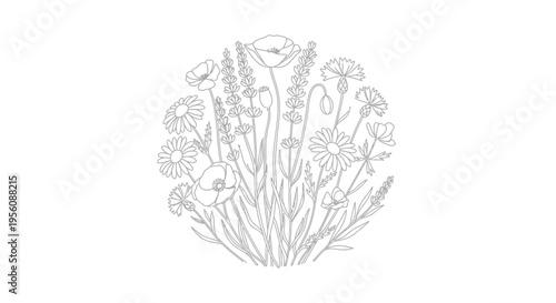 Detailed illustration of various mushrooms.