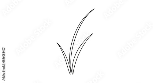 Eyelash extensions close up view.