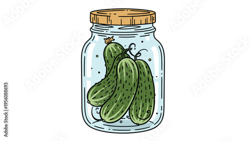 Glass jar filled with several green pickles preserved in liquid with a wooden lid is shown in a colorful hand drawn illustration style.