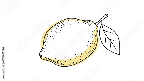 Detailed hand drawn lemon fruit with a single green leaf on a stem, featuring a yellow color accent and stippled texture details.