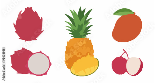 Tropical fruit collection vector with mango pineapple pitahaya and lychee