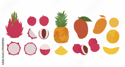 Exotic fruit vector set with pitahaya pineapple mango and lychee isolated on white