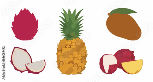 Organic exotic fruits vector set healthy tropical food illustration isolated on white