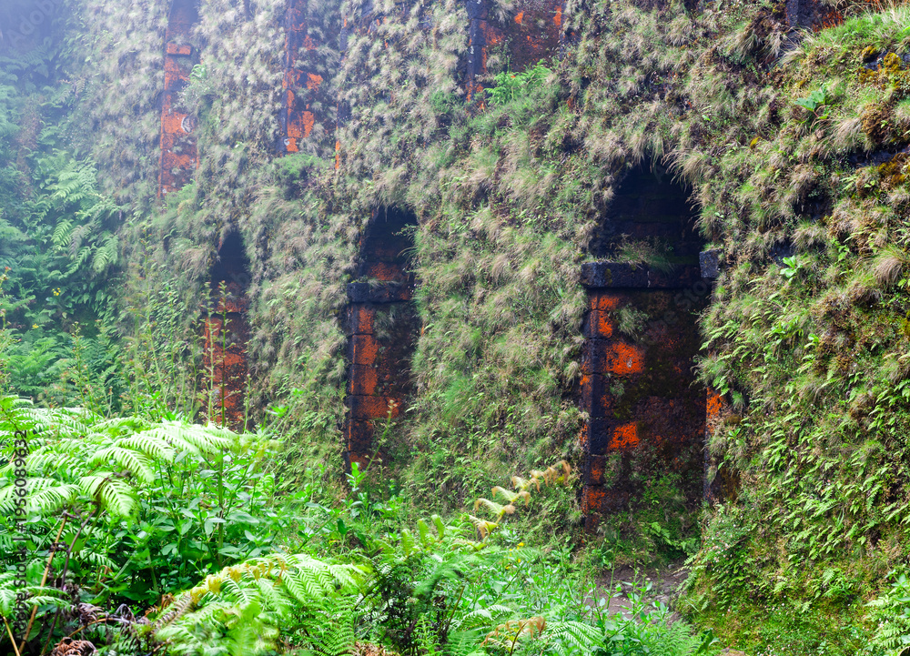 Naklejka premium Muro das Nove Janelas. This historic stone aqueduct is located on Sao Miguel Island. Lush moss and ferns cover the ancient ruins. It sits within the green landscape of the Azores, Portugal.