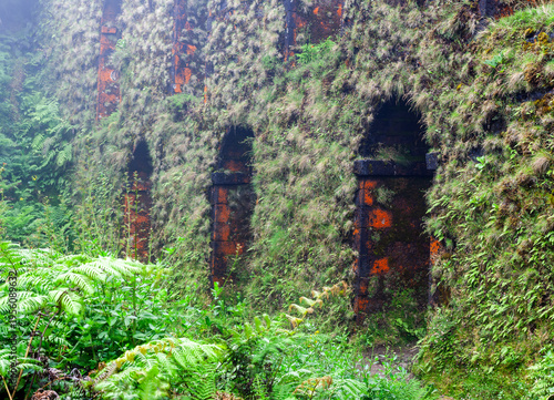 Muro das Nove Janelas. This historic stone aqueduct is located on Sao Miguel Island. Lush moss and ferns cover the ancient ruins. It sits within the green landscape of the Azores, Portugal.