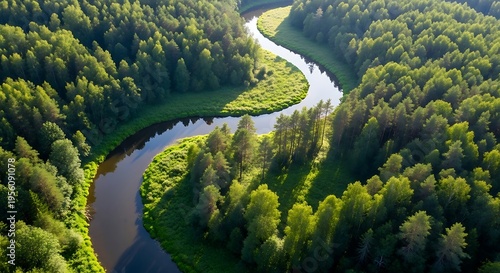 Wallpaper Mural Winding river through lush green forest landscape aerial view Torontodigital.ca