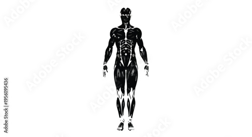 Full body silhouette of a muscular male figure showing human anatomy and muscle groups