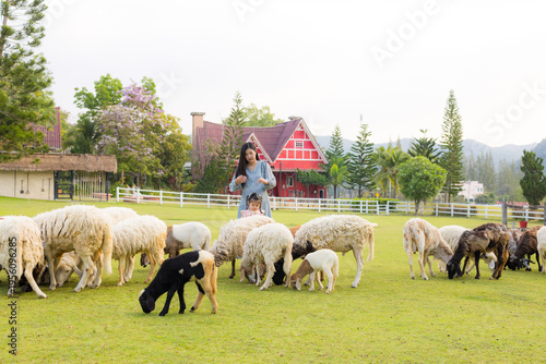 Asian mother and little daughter visiting sheep farm with red barn house background in Thailand,A young Asian mother and her cute little daughter enjoy a family day out at a scenic sheep farm,