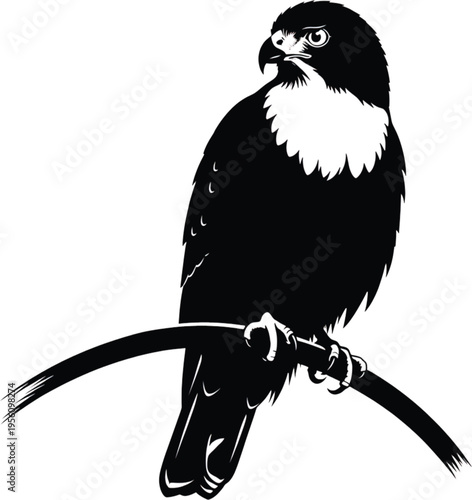 Striking black and white illustration of a majestic bird of prey perched gracefully on a simple tree branch, embodying strength and vigilance in a stylized graphic art form