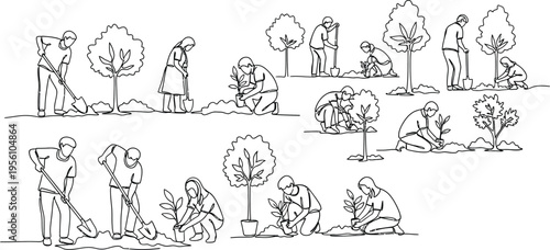 people planting trees in a park