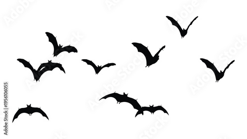 A flock of bats flying in the night sky