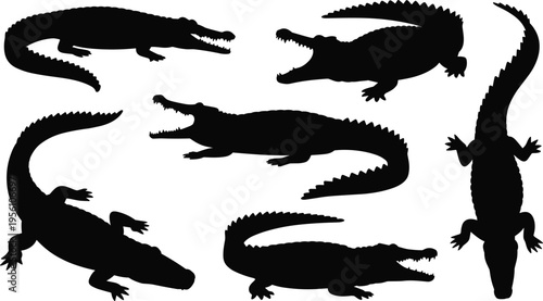 Collection of crocodile silhouettes in various poses isolated on white background, wildlife reptile vector set, black alligator shapes for design, nature illustration elements