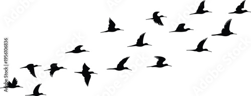 Minimalist silhouette of migrating birds flying in formation across a clear sky, nature wildlife concept, freedom journey, black shapes against white background, abstract design