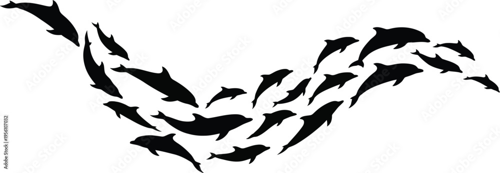 Obraz premium School of dolphins swimming together in formation, black silhouettes on white background