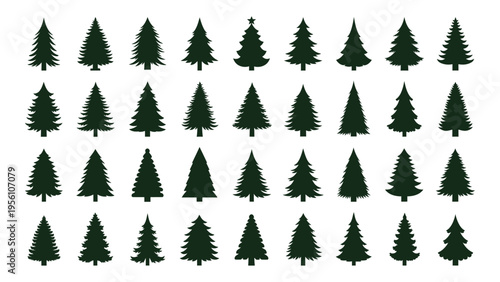 Collection of various evergreen christmas trees
