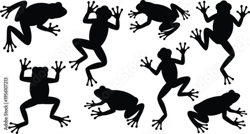 Set of frog silhouettes in jumping and climbing poses, black amphibian shapes isolated on white background, wildlife collection for design, illustration, pattern, and creative projects