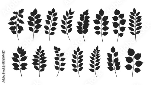 Collection of various wheat and grain silhouettes