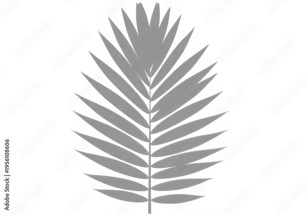 Fototapeta premium Palm leaf shadow, tropical plant silhouette, natural light shadow isolated on transparent background