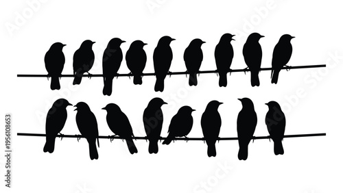 Silhouette of birds perched on two horizontal branches