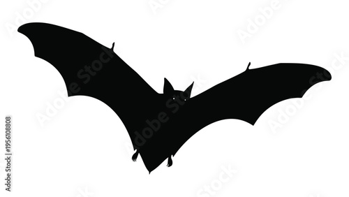 Black bat silhouette in flight