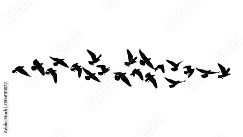 A flock of birds in flight formation against a white background